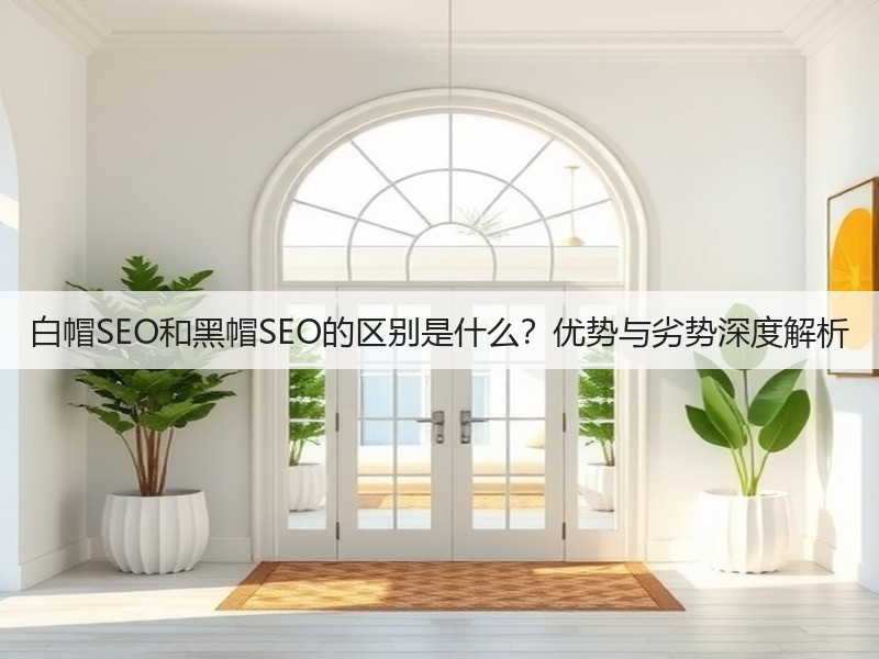 白帽SEO和黑帽SEO的区别是什么？优势与劣势深度解析(图2)