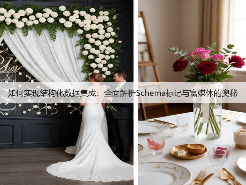 如何实现结构化数据集成：全面解析Schema标记与富媒体的奥秘(图3)