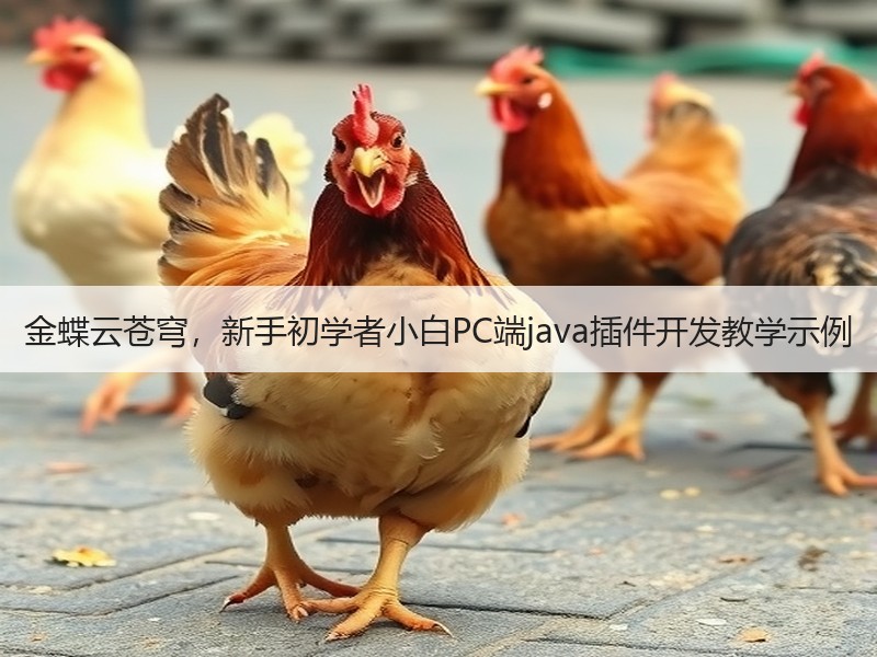 金蝶云苍穹，新手初学者小白PC端java插件开发教学示例