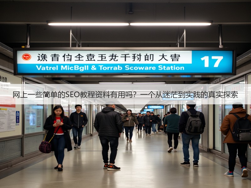 网上一些简单的SEO教程资料有用吗?一个从迷茫到实践的真实探索(图2) 网上一些简单的SEO教程资料有用吗?一个从迷茫到实践的真实探索(图2)