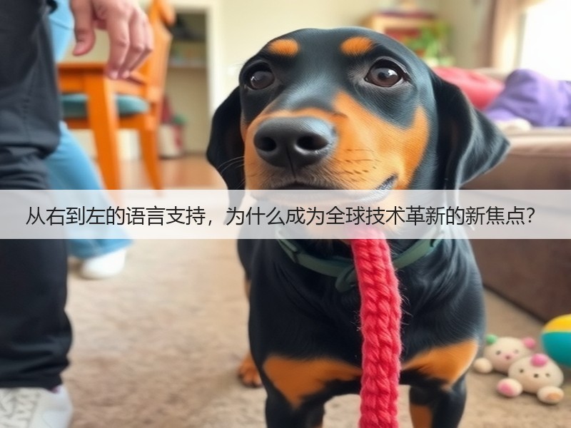 从右到左的语言支持,为什么成为全球技术革新的新焦点?(图2) 从右到左的语言支持,为什么成为全球技术革新的新焦点?(图2)