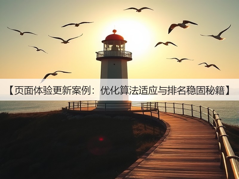 【页面体验更新案例：优化算法适应与排名稳固秘籍】(图2)