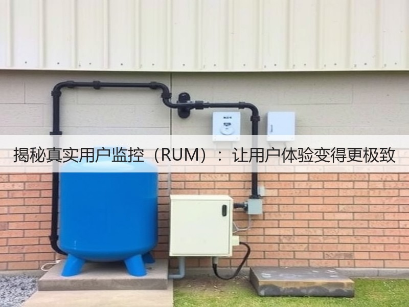 揭秘真实用户监控(RUM):让用户体验变得更极致(图2) 揭秘真实用户监控(RUM):让用户体验变得更极致(图2)