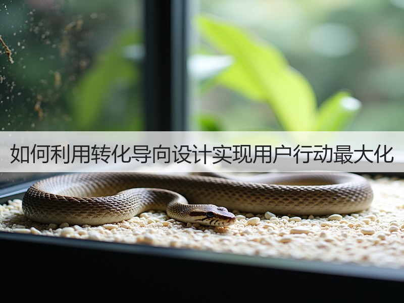 如何利用转化导向设计实现用户行动最大化(图3)