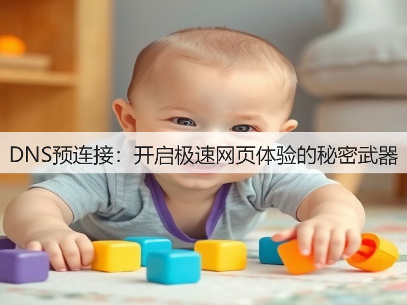 DNS预连接:开启极速网页体验的秘密武器(图2) DNS预连接:开启极速网页体验的秘密武器(图2)