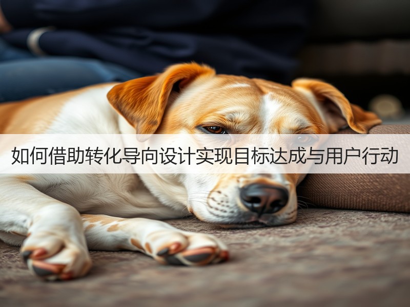 如何借助转化导向设计实现目标达成与用户行动(图3) 如何借助转化导向设计实现目标达成与用户行动(图3)