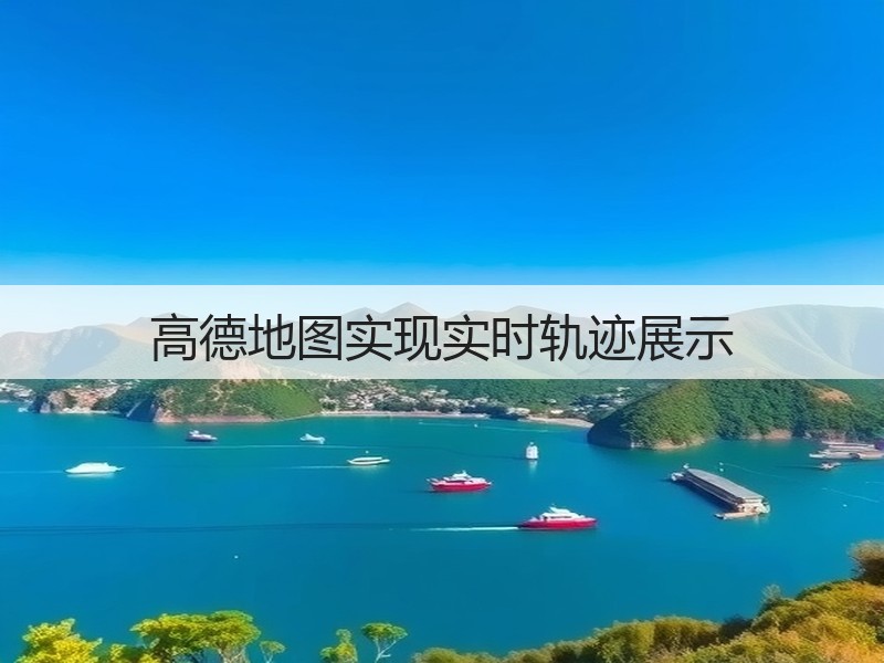 高德地图实现实时轨迹展示(图2)