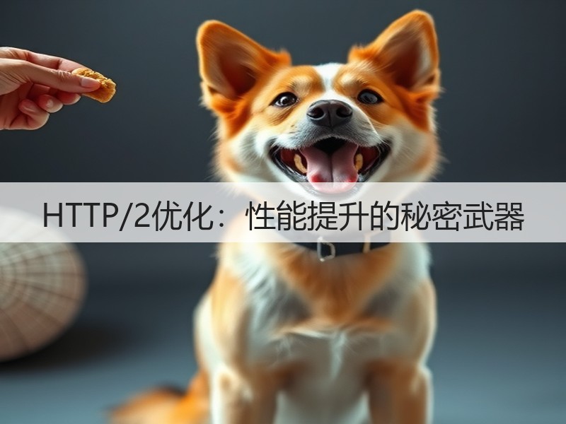 HTTP/2优化：性能提升的秘密武器(图3)