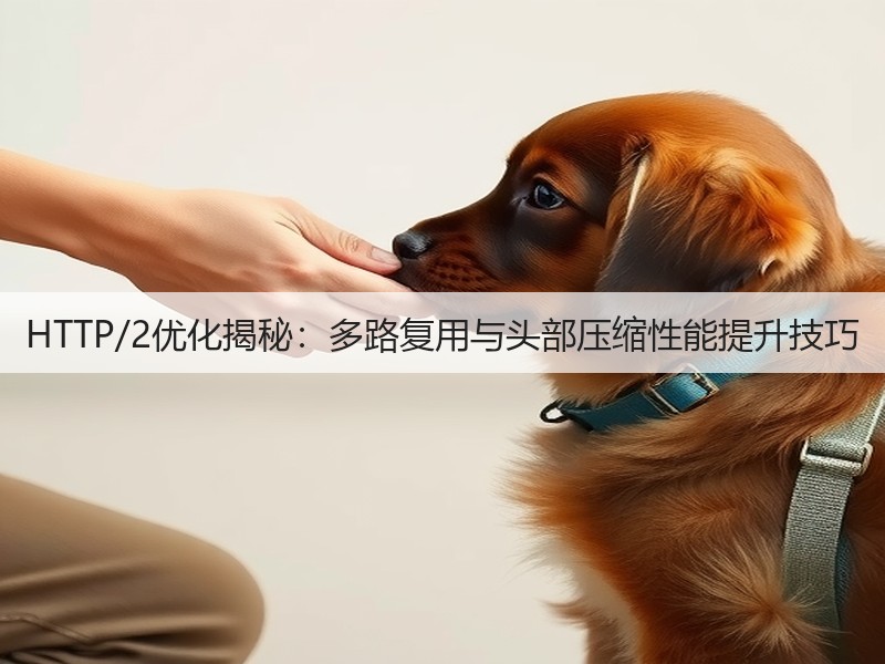 HTTP/2优化揭秘：多路复用与头部压缩性能提升技巧(图3)