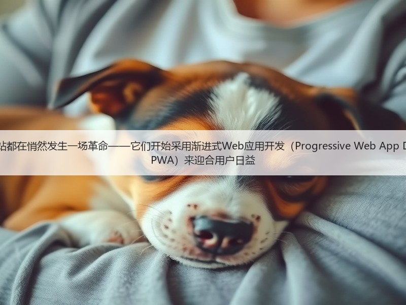有效的现代网站都在悄然发生一场革命——它们开始采用渐进式Web应用开发(Progressive Web App Development, PWA)来迎合用户日益(图2) 有效的现代网站都在悄然发生一场革命——它们开始采用渐进式Web应用开发(Progressive Web App Development, PWA)来迎合用户日益(图2)
