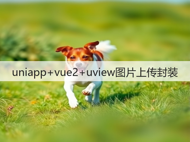 uniapp+vue2+uview图片上传封装(图2)