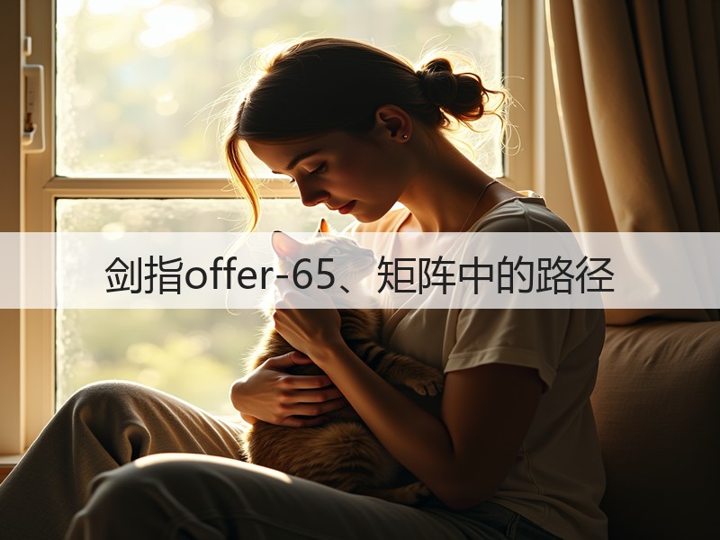 剑指offer-65、矩阵中的路径(图1)