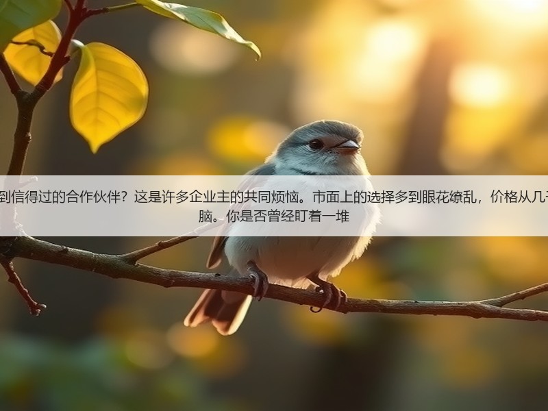 如何在海量的seo外包公司中找到信得过的合作伙伴？这是许多企业主的共同烦恼。市面上的选择多到眼花缭乱，价格从几千到几十万不等，让人摸不着头脑。你是否曾经盯着一堆(图3)
