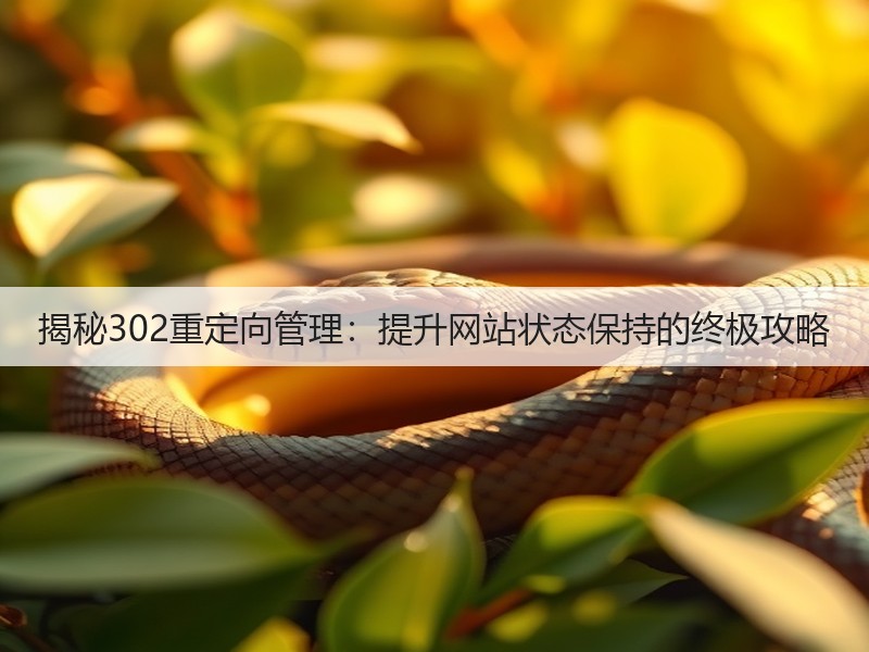 揭秘302重定向管理：提升网站状态保持的终极攻略(图3)