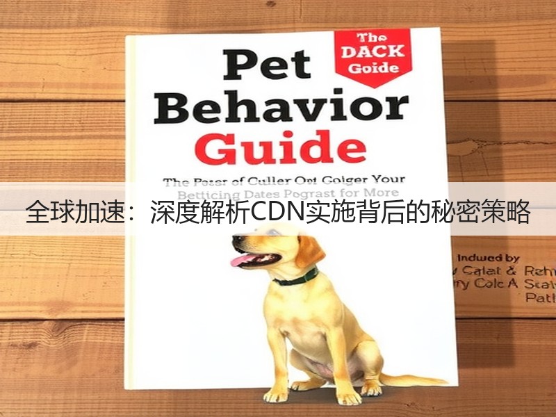 全球加速：深度解析CDN实施背后的秘密策略(图2)
