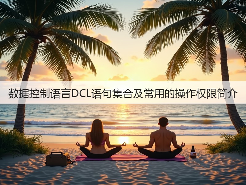 数据控制语言DCL语句集合及常用的操作权限简介(图3) 数据控制语言DCL语句集合及常用的操作权限简介(图3)