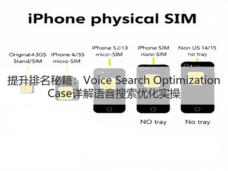 提升排名秘籍：Voice Search Optimization Case详解语音搜索优化实操