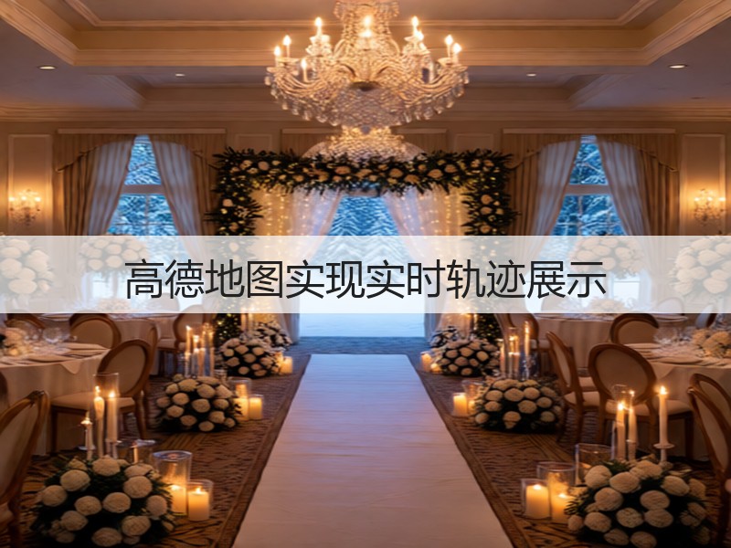 高德地图实现实时轨迹展示(图3)