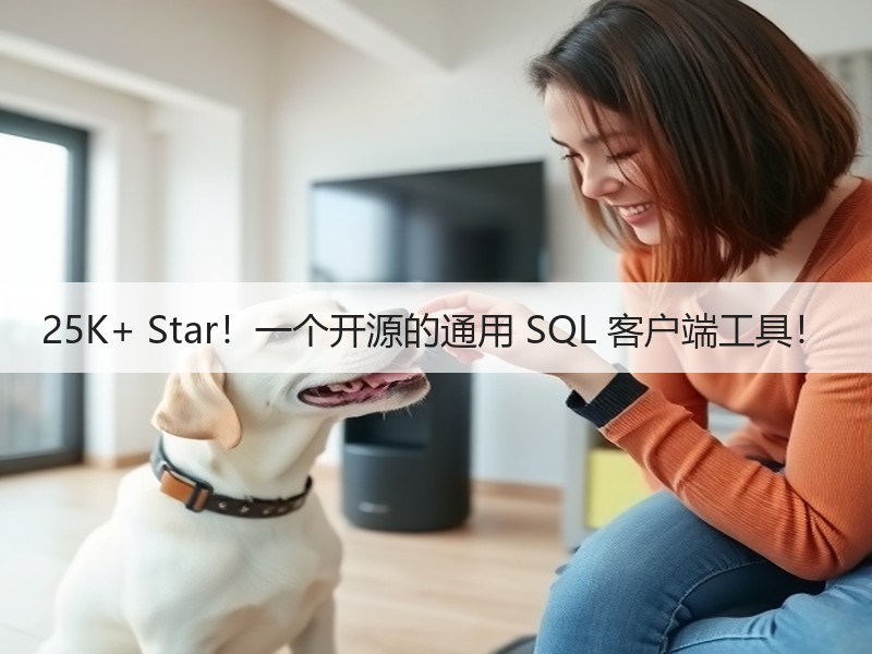 25K+ Star！一个开源的通用 SQL 客户端工具！