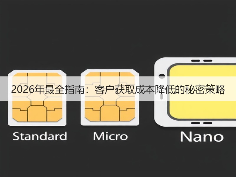 2026年最全指南：客户获取成本降低的秘密策略