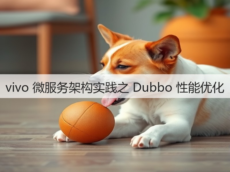 vivo 微服务架构实践之 Dubbo 性能优化(图2)