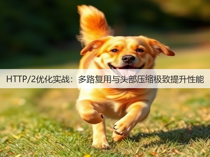 HTTP/2优化实战：多路复用与头部压缩极致提升性能(图3)