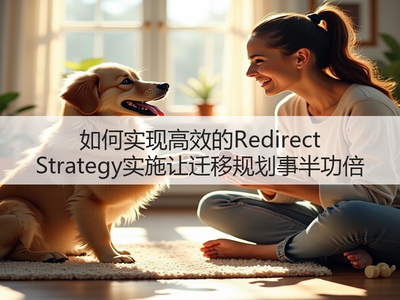 如何实现高效的Redirect Strategy实施让迁移规划事半功倍(图3) 如何实现高效的Redirect Strategy实施让迁移规划事半功倍(图3)