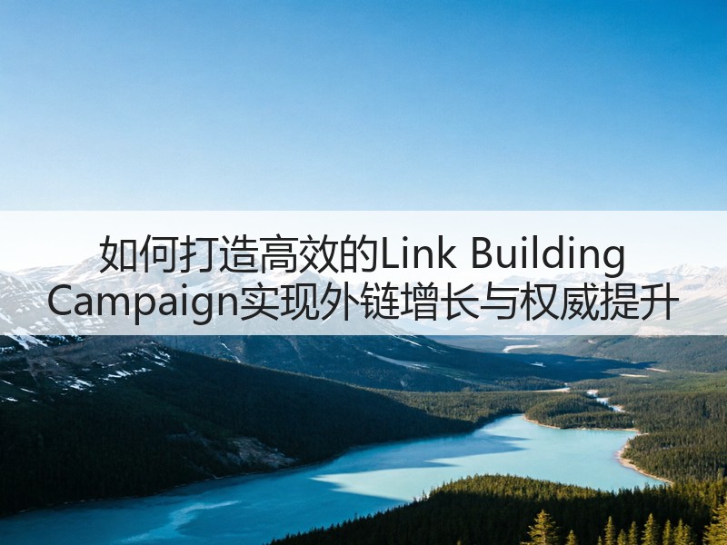 如何打造高效的Link Building Campaign实现外链增长与权威提升(图3) 如何打造高效的Link Building Campaign实现外链增长与权威提升(图3)