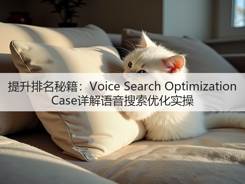 提升排名秘籍：Voice Search Optimization Case详解语音搜索优化实操(图1)