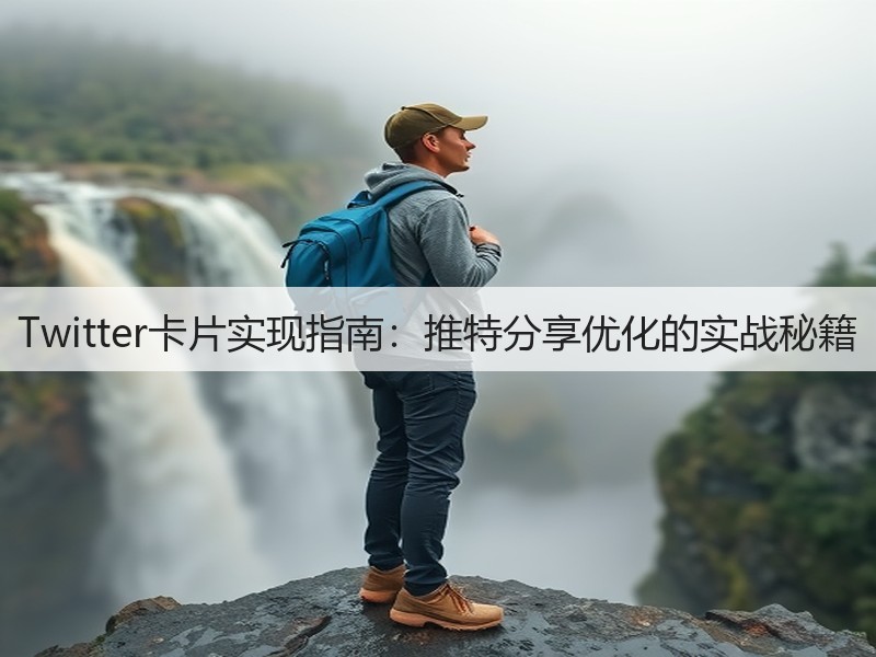 Twitter卡片实现指南：推特分享优化的实战秘籍(图3)