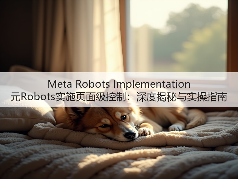 Meta Robots Implementation 元Robots实施页面级控制：深度揭秘与实操指南(图2)