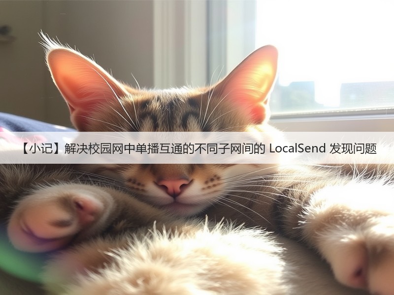 【小记】解决校园网中单播互通的不同子网间的 LocalSend 发现问题(图1)