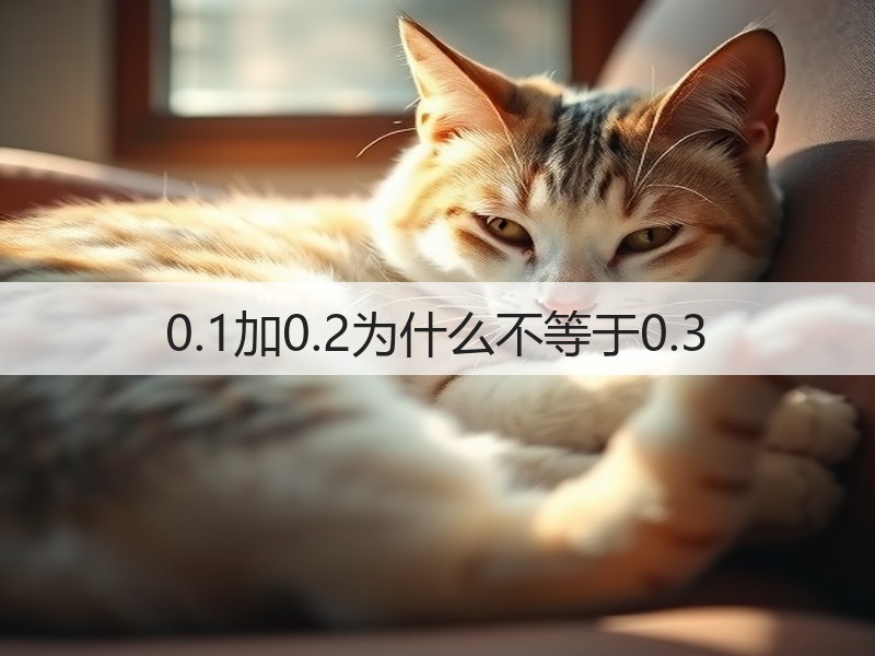 0.1加0.2为什么不等于0.3(图3)