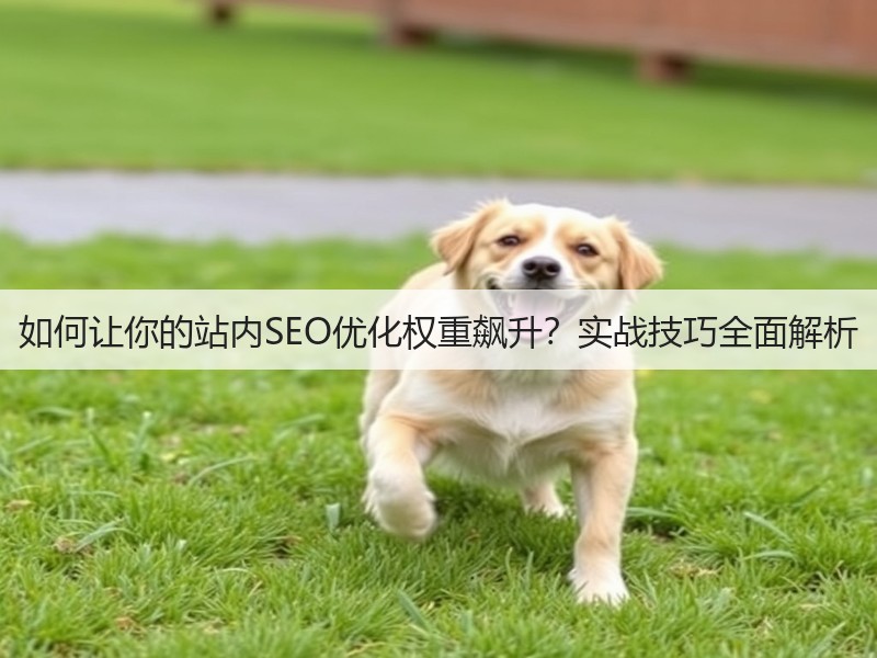 如何让你的站内SEO优化权重飙升?实战技巧全面解析(图3) 如何让你的站内SEO优化权重飙升?实战技巧全面解析(图3)