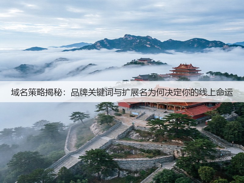 域名策略揭秘：品牌关键词与扩展名为何决定你的线上命运(图2)