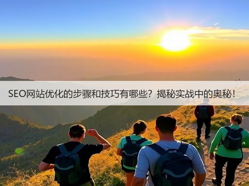 SEO网站优化的步骤和技巧有哪些？揭秘实战中的奥秘！