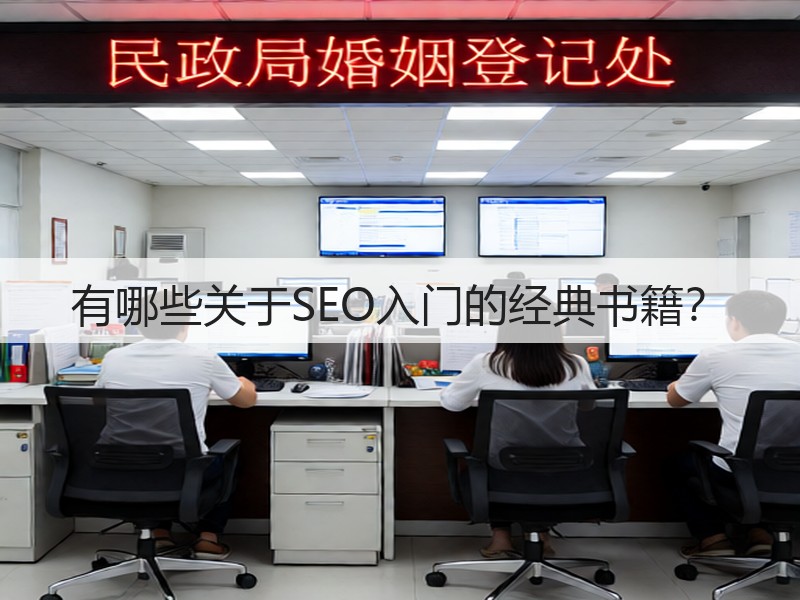 有哪些关于SEO入门的经典书籍？(图2)