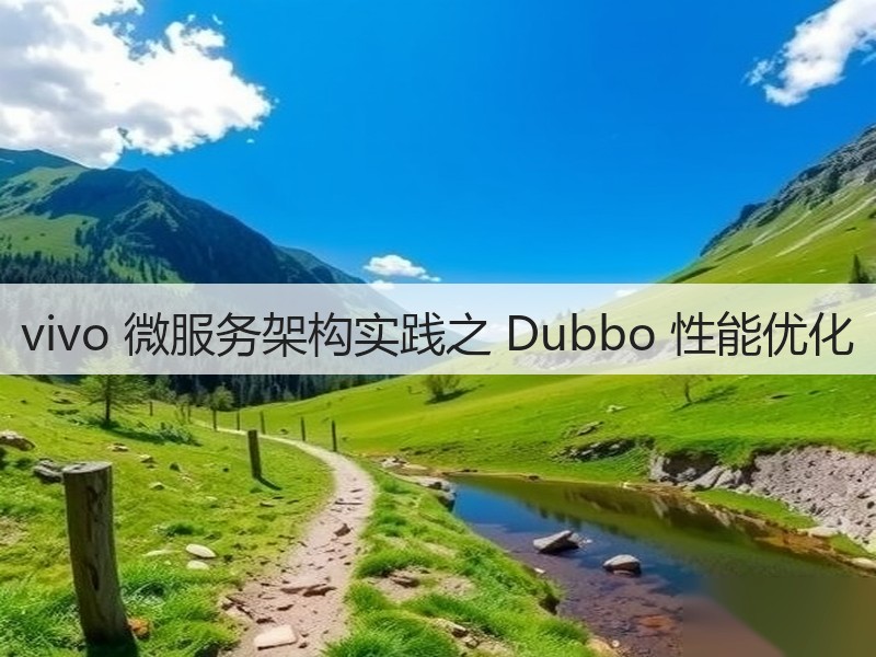 vivo 微服务架构实践之 Dubbo 性能优化(图1)