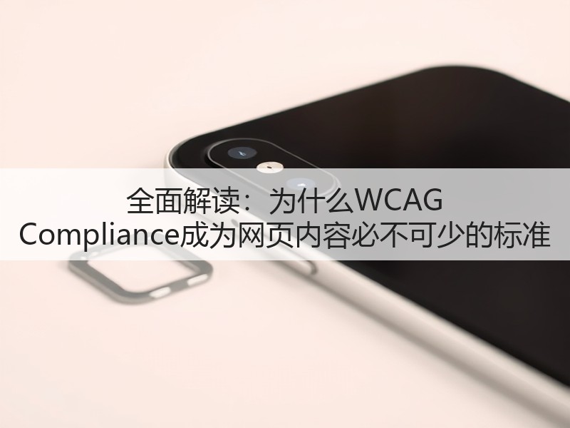 全面解读:为什么WCAG Compliance成为网页内容必不可少的标准(图3) 全面解读:为什么WCAG Compliance成为网页内容必不可少的标准(图3)