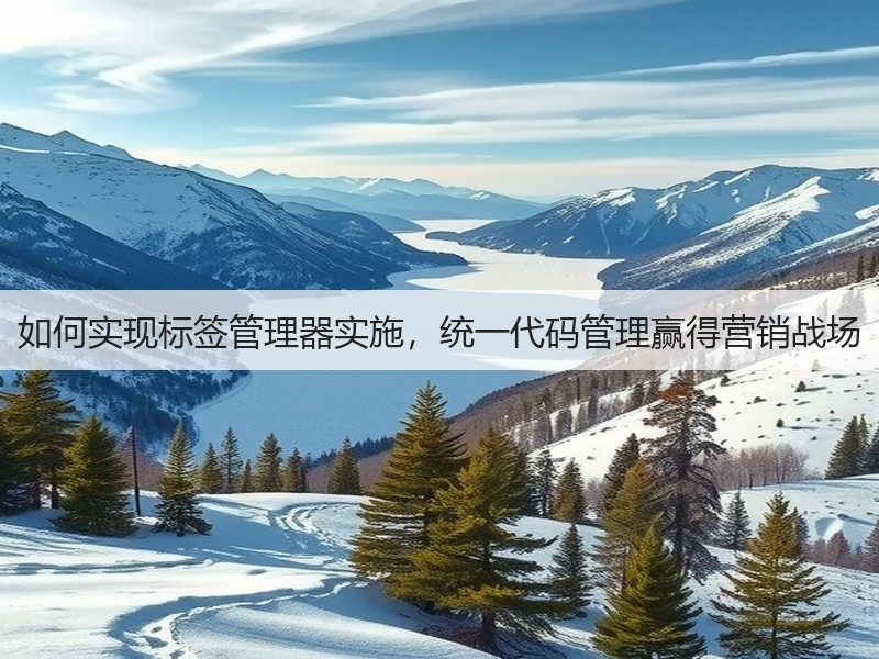 如何实现标签管理器实施,统一代码管理赢得营销战场(图2) 如何实现标签管理器实施,统一代码管理赢得营销战场(图2)