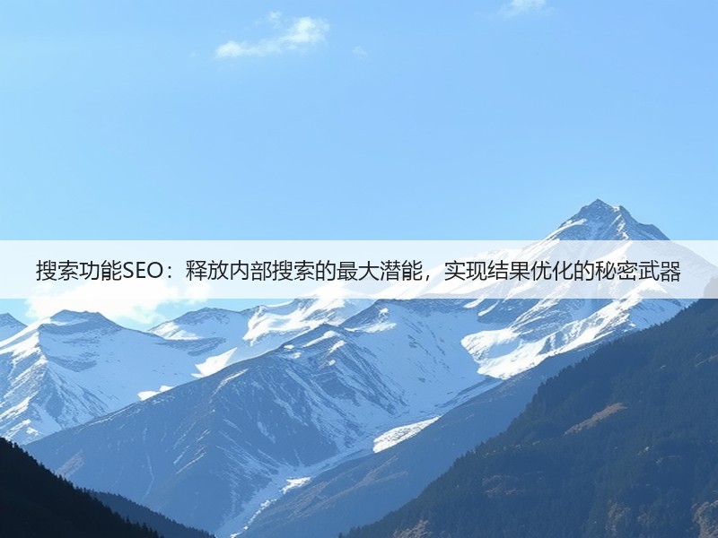 搜索功能SEO:释放内部搜索的最大潜能,实现结果优化的秘密武器(图2) 搜索功能SEO:释放内部搜索的最大潜能,实现结果优化的秘密武器(图2)