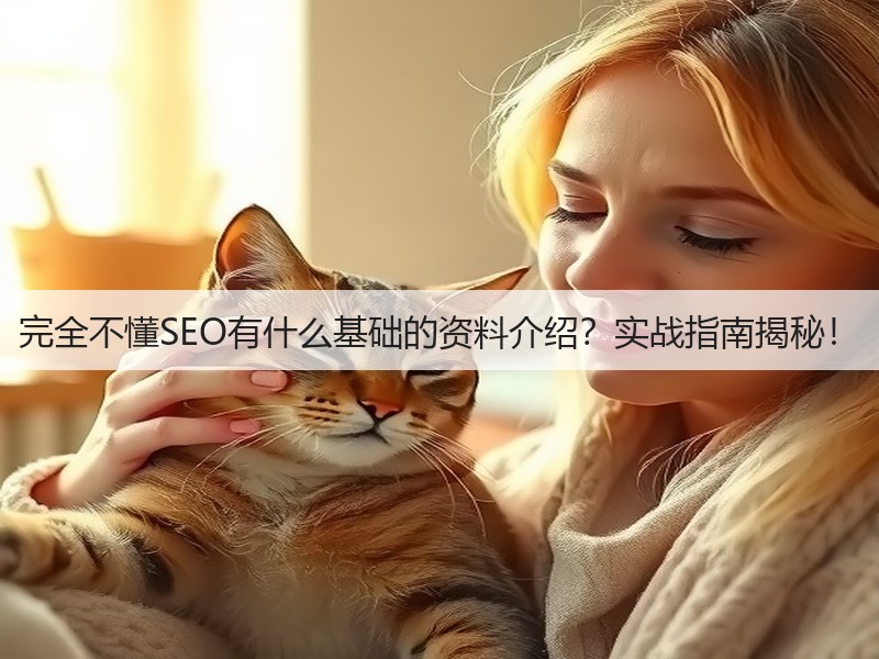 完全不懂SEO有什么基础的资料介绍?实战指南揭秘!(图2) 完全不懂SEO有什么基础的资料介绍?实战指南揭秘!(图2)