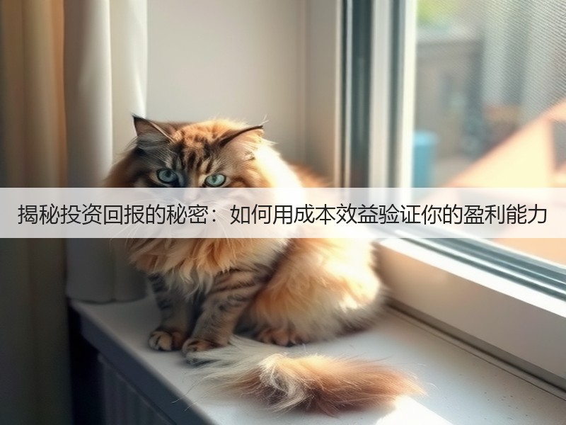 揭秘投资回报的秘密:如何用成本效益验证你的盈利能力(图3) 揭秘投资回报的秘密:如何用成本效益验证你的盈利能力(图3)