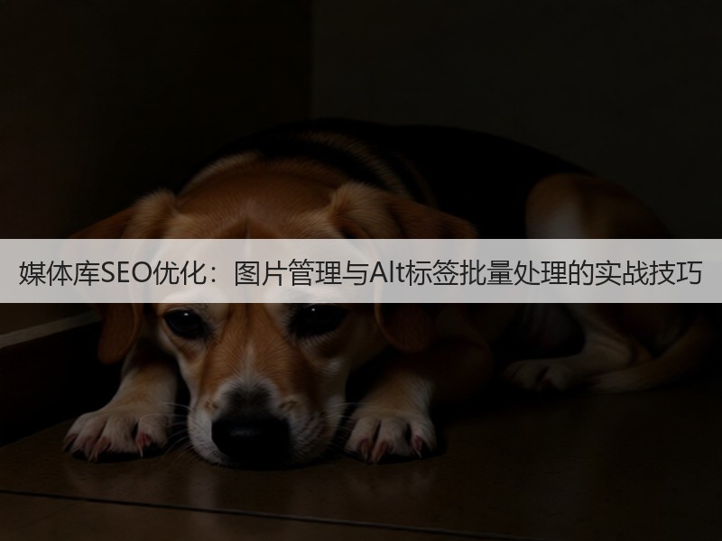 媒体库SEO优化：图片管理与Alt标签批量处理的实战技巧(图3)