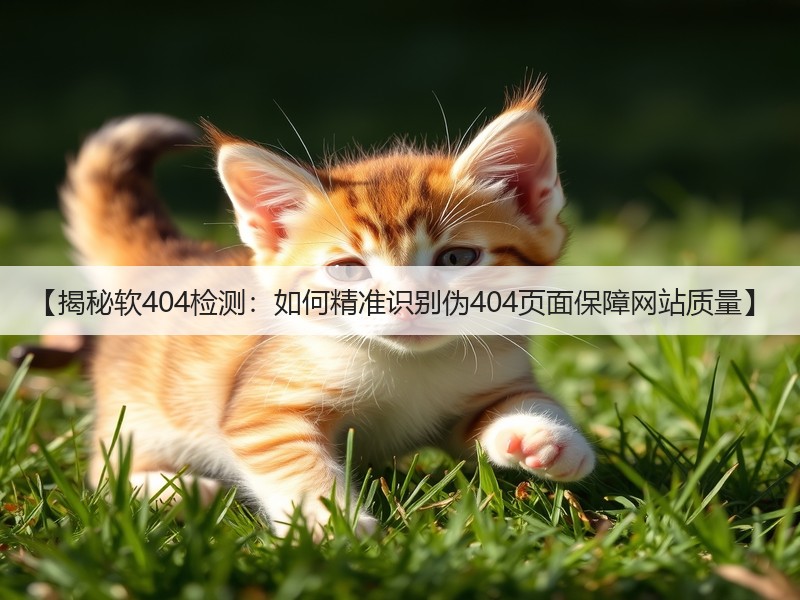 【揭秘软404检测:如何精准识别伪404页面保障网站质量】(图3) 【揭秘软404检测:如何精准识别伪404页面保障网站质量】(图3)