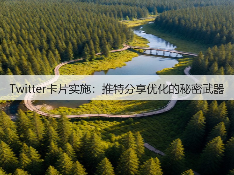 Twitter卡片实施：推特分享优化的秘密武器