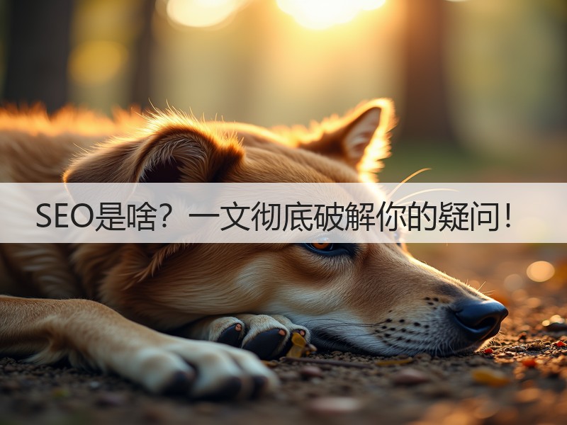 SEO是啥?一文彻底破解你的疑问!(图2) SEO是啥?一文彻底破解你的疑问!(图2)