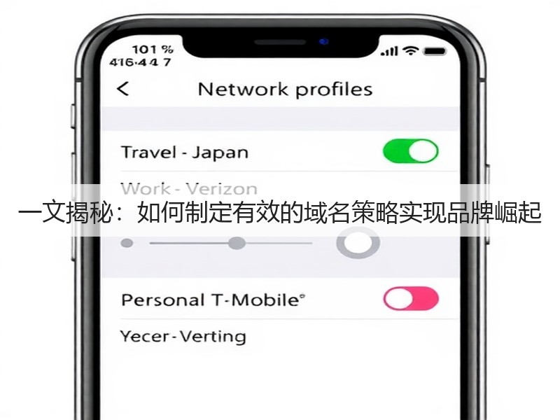 一文揭秘：如何制定有效的域名策略实现品牌崛起(图3)