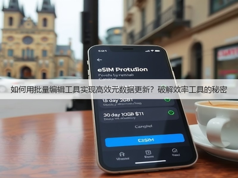 如何用批量编辑工具实现高效元数据更新？破解效率工具的秘密(图2)