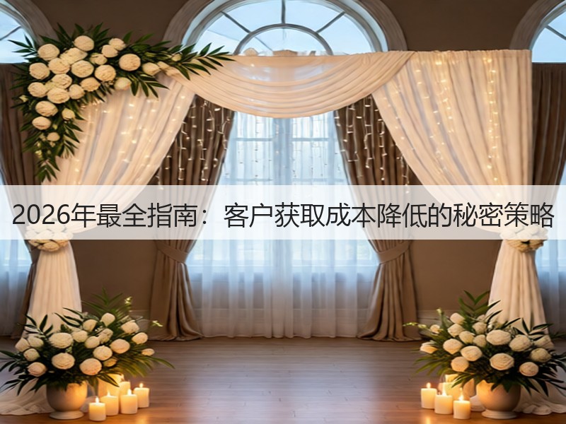2026年最全指南:客户获取成本降低的秘密策略(图3) 2026年最全指南:客户获取成本降低的秘密策略(图3)
